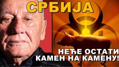 Велимир Веља Илић: Храна скупља него у Бечу, намерно убијају свиње, плата је 50.000дин.. лудаци! (видео) Велимир Веља Илић: Храна скупља него у Бечу, намерно убијају свиње, плата је 50.000дин.. лудаци! (видео)