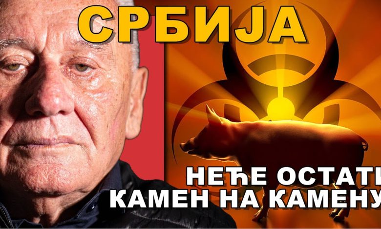 Велимир Веља Илић: Храна скупља него у Бечу, намерно убијају свиње, плата је 50.000дин.. лудаци! (видео) Велимир Веља Илић: Храна скупља него у Бечу, намерно убијају свиње, плата је 50.000дин.. лудаци! (видео)