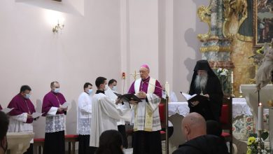 Позив СПЦ и Влади Србије: Разрешите епископа славонског Јована свих дужности везаних за Јасеновац и геноцид над Србима у НДХ Позив СПЦ и Влади Србије: Разрешите епископа славонског Јована свих дужности везаних за Јасеновац и геноцид над Србима у НДХ