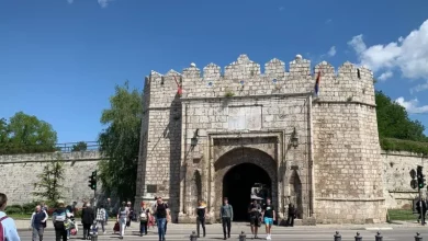 Ниш још нема резултате избора, вишак гласова се изненада појављује, па нестаје (видео) Ниш још нема резултате избора, вишак гласова се изненада појављује, па нестаје (видео)