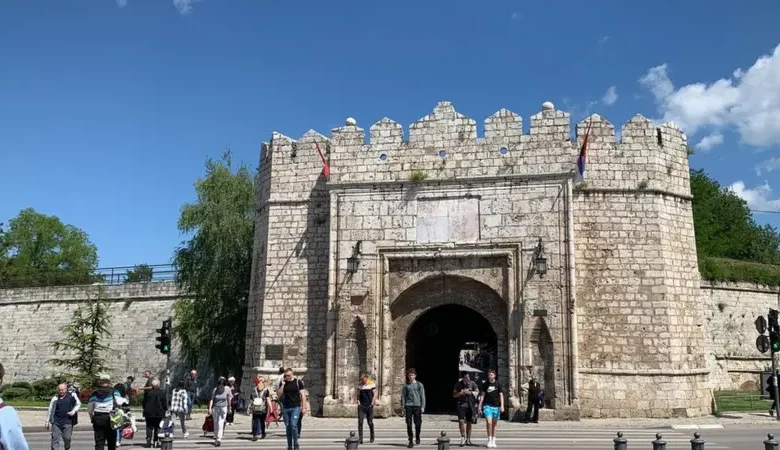 Ниш још нема резултате избора, вишак гласова се изненада појављује, па нестаје (видео)