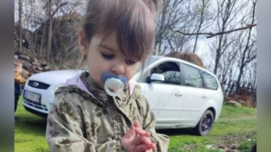 Апелациони суд у Нишу укинуо решење о потврђивању оптужнице за убиство Данке Илић, суд поново одлучује Апелациони суд у Нишу укинуо решење о потврђивању оптужнице за убиство Данке Илић, суд поново одлучује