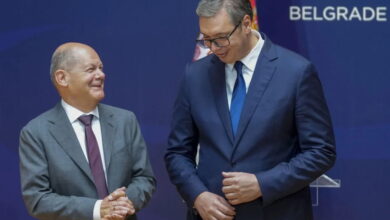 Европске гаранције на врбовом клину Европске гаранције на врбовом клину