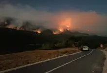 Зашто се чекало да се разбукте пожари на Хомољу и Видличу? (видео) Зашто се чекало да се разбукте пожари на Хомољу и Видличу? (видео)