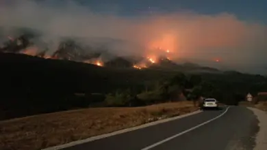 Зашто се чекало да се разбукте пожари на Хомољу и Видличу? (видео) Зашто се чекало да се разбукте пожари на Хомољу и Видличу? (видео)