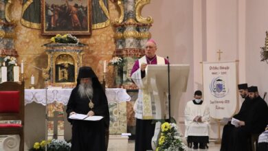 Илија Петровић: Бискупски епископи србски Илија Петровић: Бискупски епископи србски