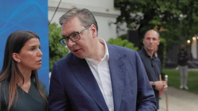Татјана Вукић, партнерка Андреја Вучића, главна заступница капитала породице Вучић и СНС Татјана Вукић, партнерка Андреја Вучића, главна заступница капитала породице Вучић и СНС