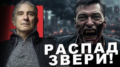 Цвијетин Миливојевић: Стварна, хистерична паника! Распад је ПОЧЕО по вертикали! Остали су му само..! (видео)