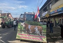 Србијо, крајње је време да станеш уз своје хранитеље и своју децу или те за 10 година неће бити! (фото, видео) Србијо, крајње је време да станеш уз своје хранитеље и своју децу или те за 10 година неће бити! (фото, видео)