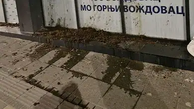Београђани од јутрос пријављују да се од Топчидера ка Новом Београду шири несносан смрад људског измета! Београђани од јутрос пријављују да се од Топчидера ка Новом Београду шири несносан смрад људског измета!